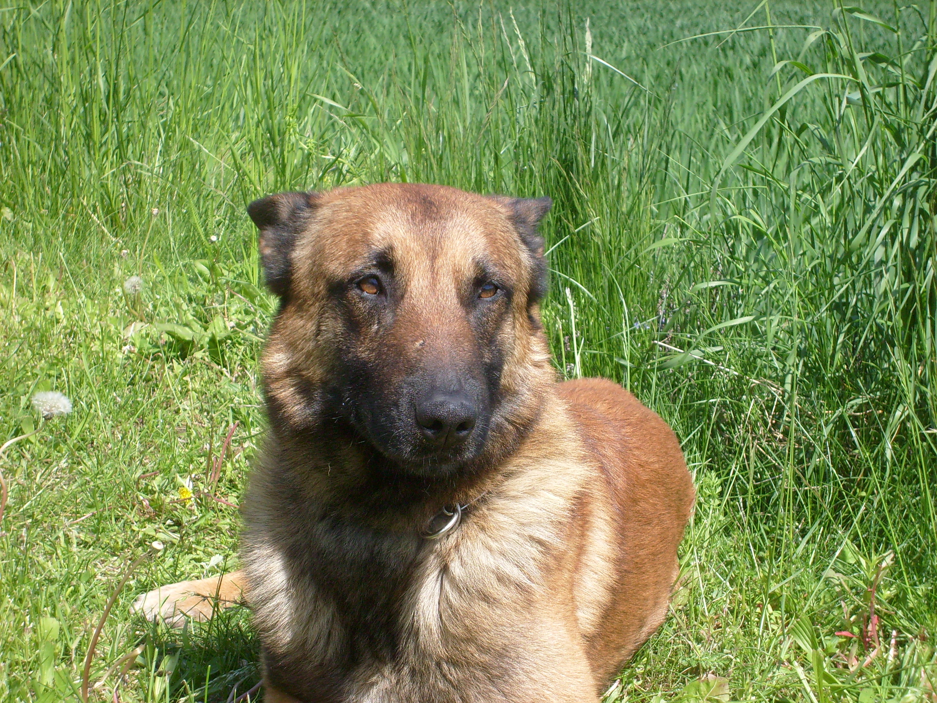 Kopie - S7300445.JPG